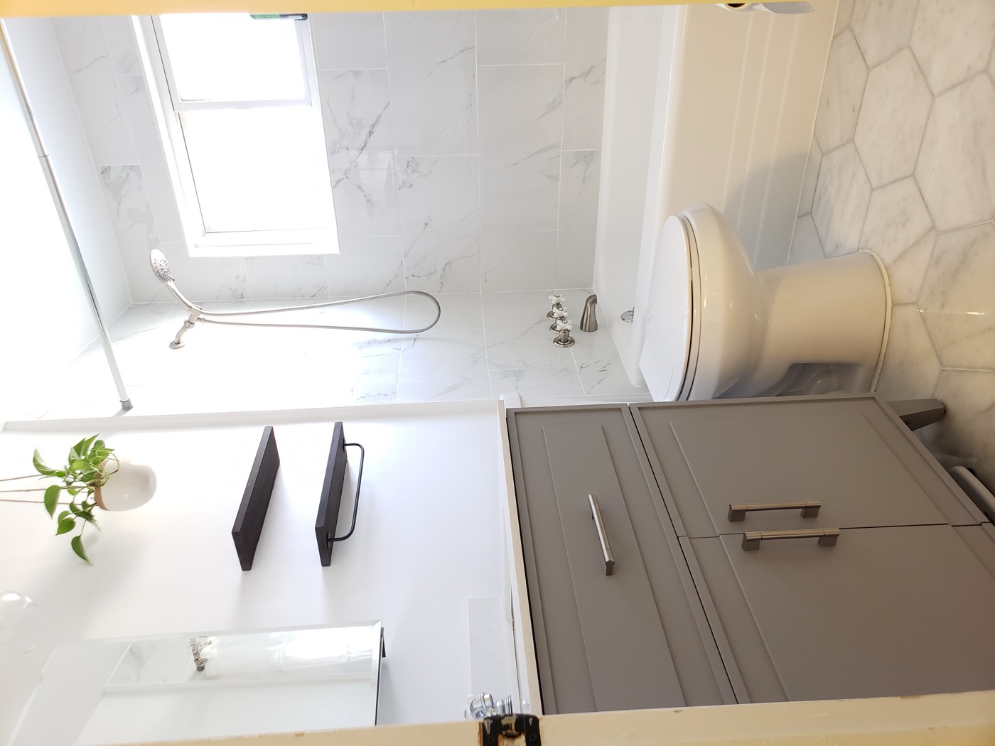 Gray vanity bathroom with hexagon floor tile and hanging plants
